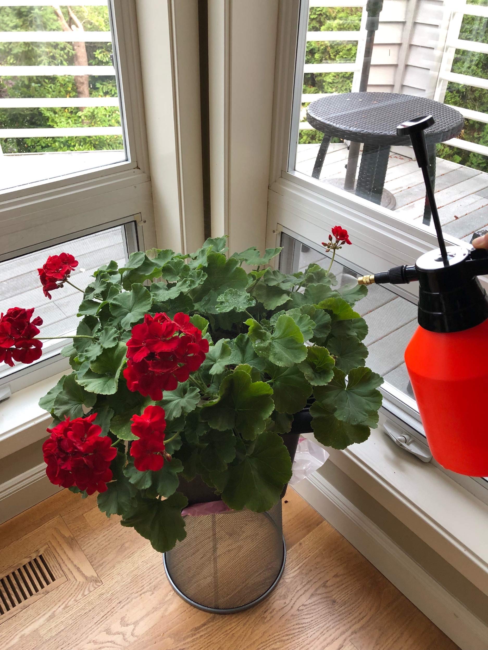 Polyte One Hand Pressure Sprayer for Lawn, Garden, Pest Control, 50 oz / 1.5 Liter, 1 Pack - Image 4